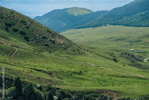 landscape in the mountains