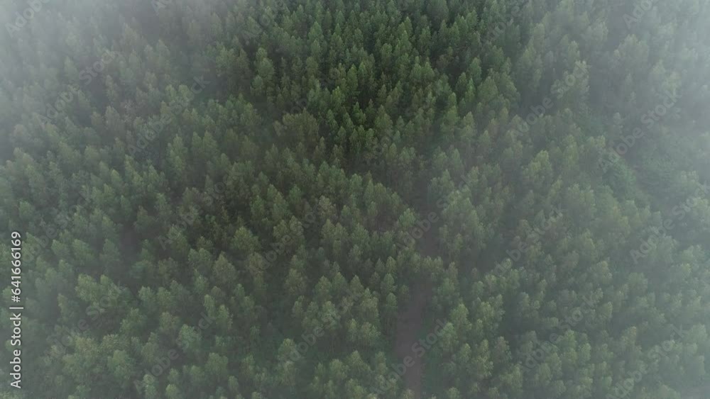 Aerial View of Misty Forest Fog Aerial View of Misty Forest Fog