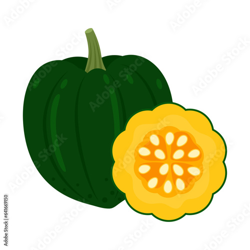 Acorn squash whole vegetable and slice isolated on white background. Cucurbita pepo turbinata. Des Moines squash or pepper squash icon. Vector illustration of vegetables in flat style.