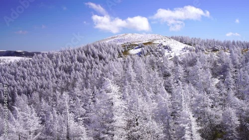 日本の長野県、美ヶ原の雪景色。