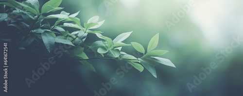 Natural background border with fresh juicy leaves with soft focus outdoors in nature, wide format, copy space, atmospheric image in soothing muted dark green, Generative AI