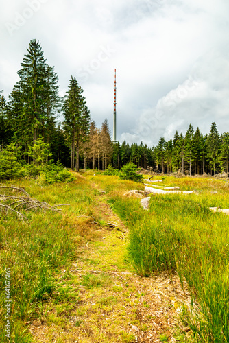 Sommerwanderung auf dem Höhenweg des Thüringer Waldes - Thüringen - Deutschland photo