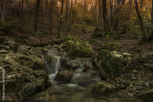 stream in the autumn forest