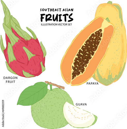 Southeast asian fruit illustration dargon fruit papaya and guava vector set