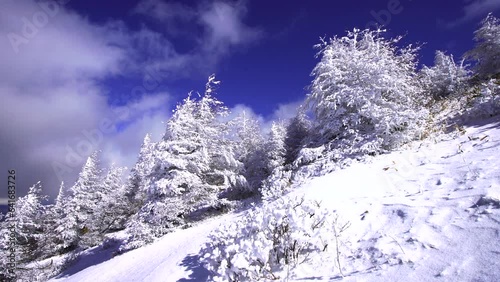 Wallpaper Mural 日本の長野県、美ヶ原の雪景色。 Torontodigital.ca