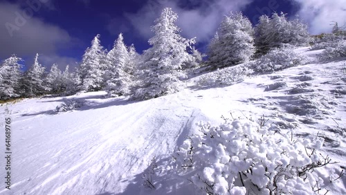 日本の長野県、美ヶ原の雪景色。