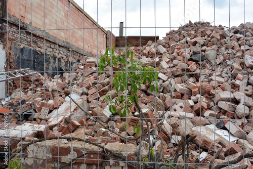 A green bush grows behind a wire fence on a pile of bricks after the old building was dismantled.