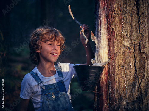 Bilde på lerret Cheerful boy looking at resin on stick