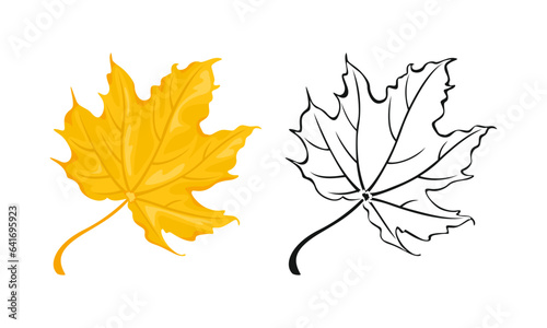 Yellow maple leaf cartoon illustration and black and white outline. Autumn leaf icon.