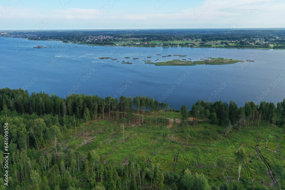 Forest, aerial views