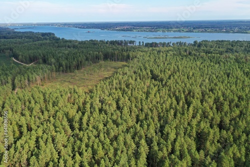 Forest, aerial views