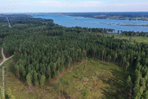 Forest, aerial views
