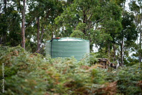 Plastic water tank in the forest of an off grid house in Australia in the bush photo