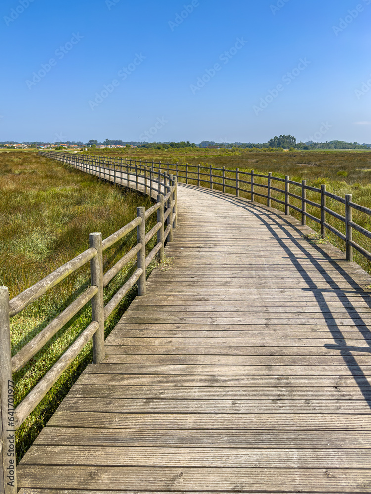 Eco path wooden walkway, ecological trail path