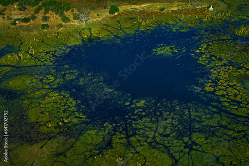 Africa aerial landscape, green river, Okavango delta in Botswana. Lakes and rivers, view from airplane. Forest. vegetation in South Africa. Trees with water in rainy wet season. Travel in Botswana.