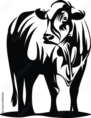 Fototapeta Naklejka Na Ścianę i Meble -  cow isolated on white, vector cow