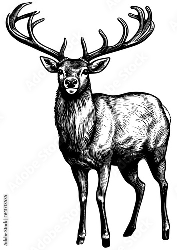 Reindeer Isolated Woodcut