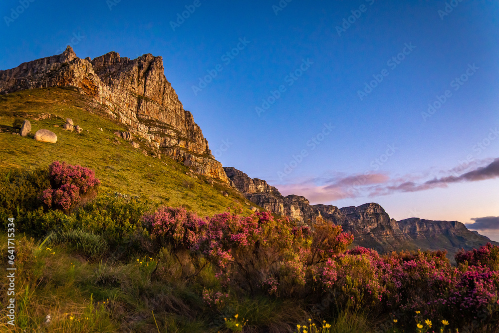 View of Table Mountain from Kloof Corner hike at sunset in Cape Town, western Cape, South Africa