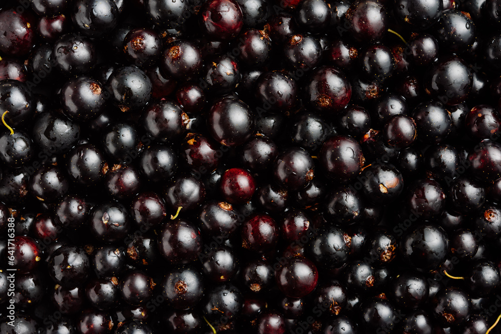 Fresh blackcurrant berries close-up, background. Fresh blackcurrant berries close-up, background.