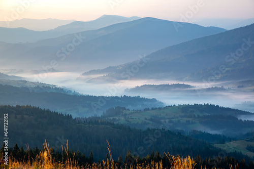 Morning dense fog in the mountainous forest area of ​​the Ukrainian Carpathians. Landscape in nature. Dawn in the mountains