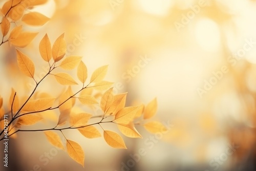 Beautiful golden autumn leaves against blurry background