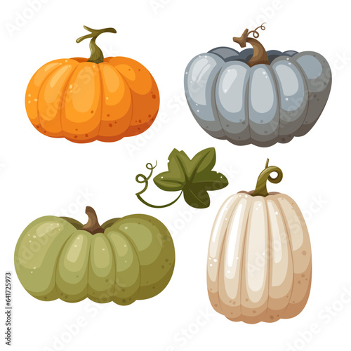 Orange, white, blue and green pumpkins with leaf and swirl isolated on white background, vector illustration in cartoon, flat style. Autumn harvest. Halloween pumpkin. Thanksgiving pumpkin.