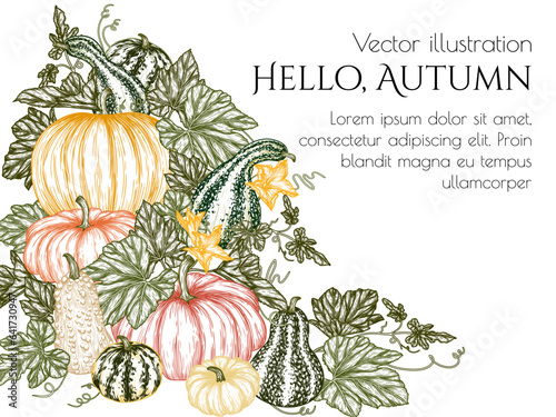 Vector autumn frame pumpkin garden in engraving style