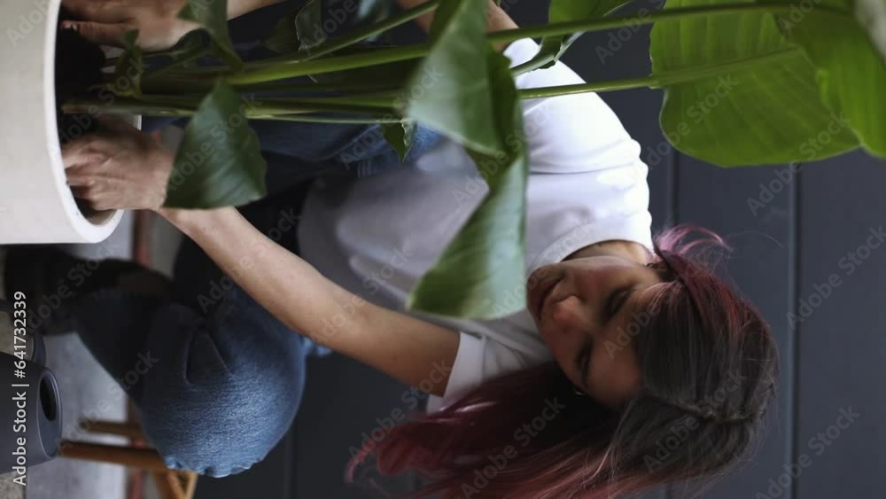 Planting home plants indoors. Pink hair woman potting some plants in pots on the floor at backyard home. Female gardener planting flowers in pots. Vertical video. Planting home plants indoors. Pink hair woman potting some plants in pots on the floor at backyard home. Female gardener planting flowers in pots. Vertical video.
