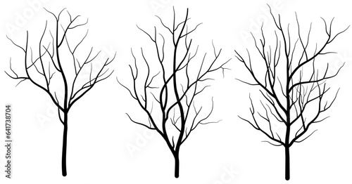black deciduous tree collection