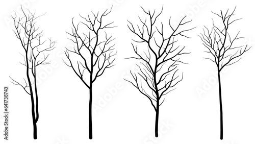 black deciduous tree collection