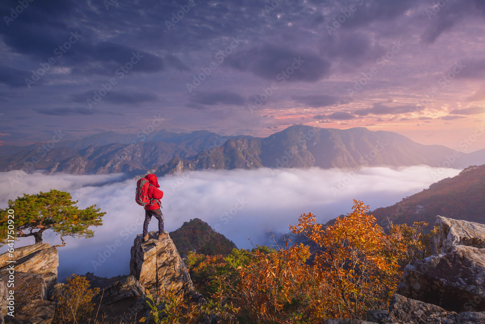 tourist with backpack admiring landscape in Autumn In the morning, a sea of ​​mist flows through the river in the valley In the autumn at Jebibong of Waraksan Mountain National Park, South Korea.