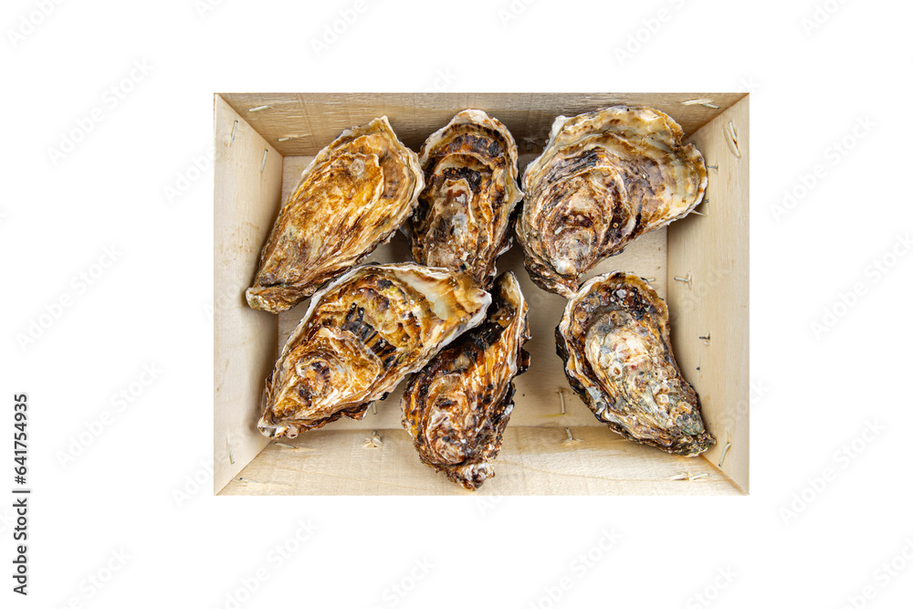 fresh oyster in shell clam oysters seafood fruit de mer ready to eat meal food snack on the table copy space food background rustic top view