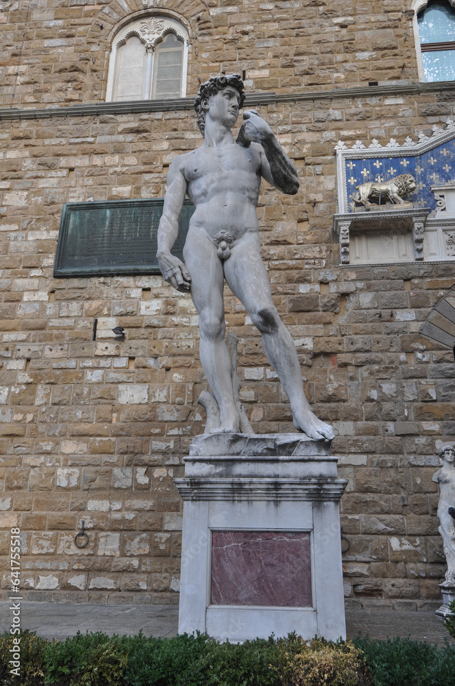 Naklejka premium David statue by Michelangelo in Florence