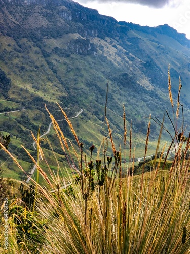 Landscape in Villamaria, Caldas, Colombia with green montains, moorland and road to the ruiz hot springs