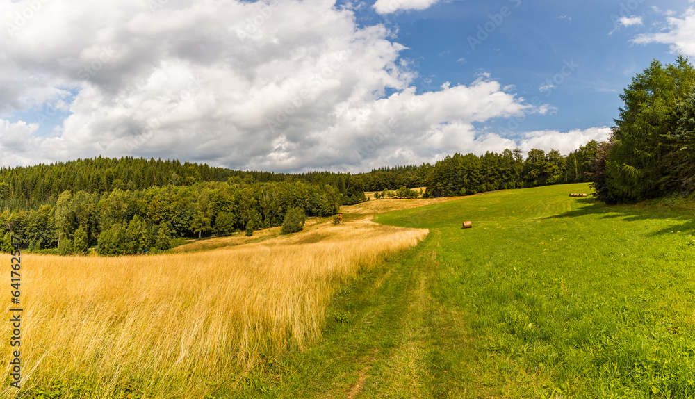 Fototapeta premium landscape with field and blue sky