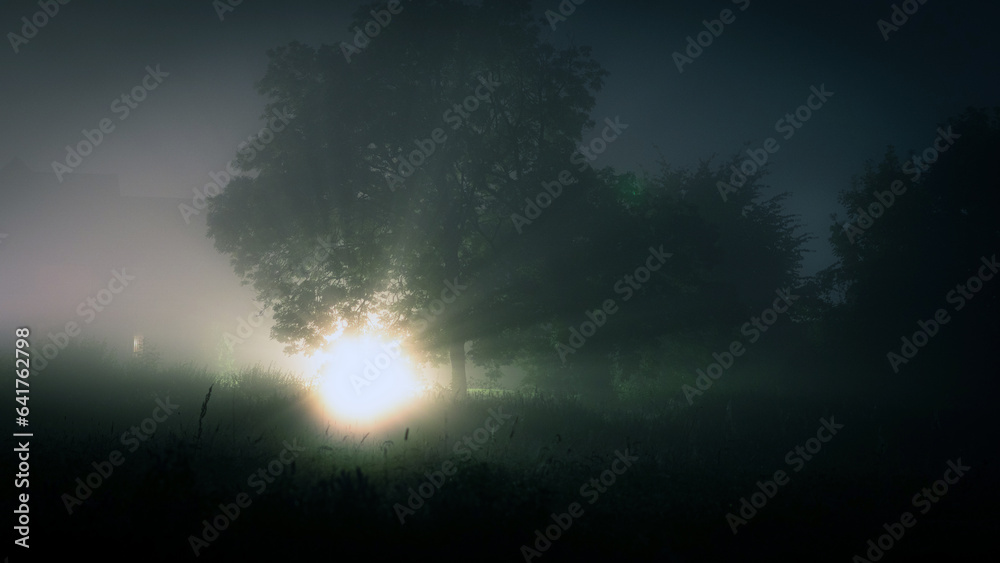 Fototapeta premium A mysterious bright light, with a silhouette of a tree in the countryside with distant houses in the background. On a foggy night.