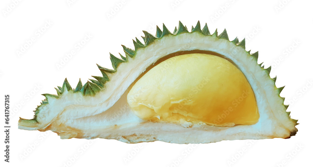 durian fruit with cut in half durian fruit with cut in half