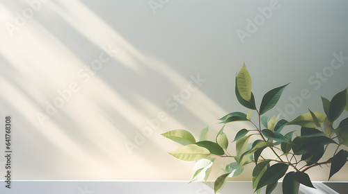 Minimalistic light background with blurred foliage shadow on a white wall