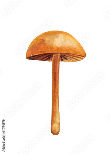 mushroom watercolor isolated on white background. Watercolor botanical illustration. Hand-drawn forest mushroom