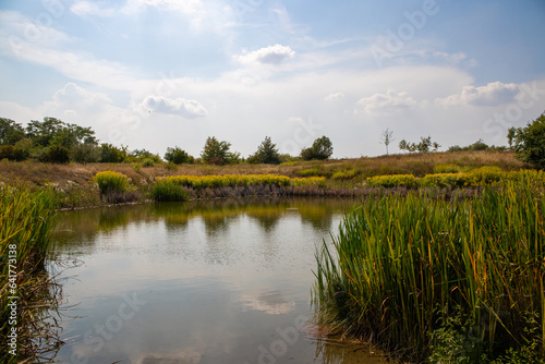 View of a pond with grass and water reflection