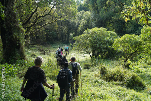 A la découverte des Cercopithèques dorés dans le parc national de Virunga en Ouganda