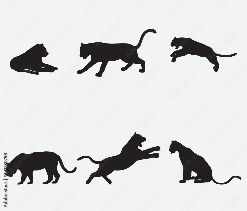 Set of Tiger Silhouettes. Vector