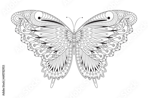 Vector Butterfly Illustration