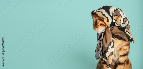 Funny cat in a summer scarf against a turquoise wall.