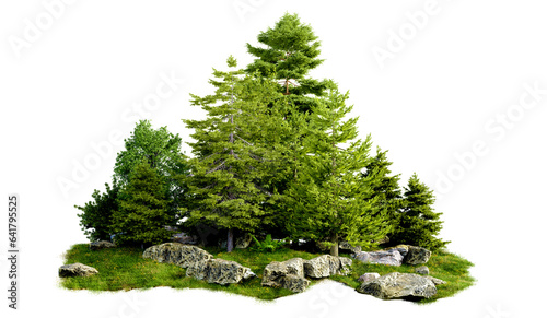 isolated cut out small forest and tree group on hill on white background with clipping path