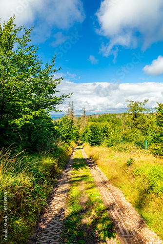 Sommerwanderung auf dem Höhenweg des Thüringer Waldes bei Ruhla - Thüringen - Deutschland