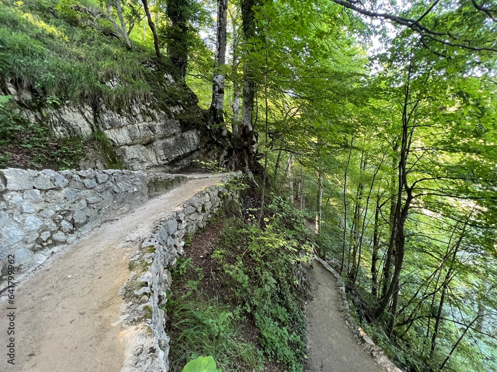 Wooden paths and walkways along the lakes and through the forest in the Plitvice Lakes National Park - Plitvica, Croatia (Drvene staze i šetnice u Nacionalnom parku Plitvička jezera - Hrvatska) Wooden paths and walkways along the lakes and through the forest in the Plitvice Lakes National Park - Plitvica, Croatia (Drvene staze i šetnice u Nacionalnom parku Plitvička jezera - Hrvatska)