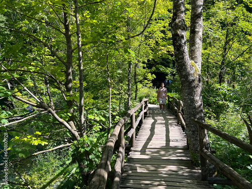 Wooden paths and walkways along the lakes and through the forest in the Plitvice Lakes National Park - Plitvica, Croatia (Drvene staze i šetnice u Nacionalnom parku Plitvička jezera - Hrvatska) © Mario