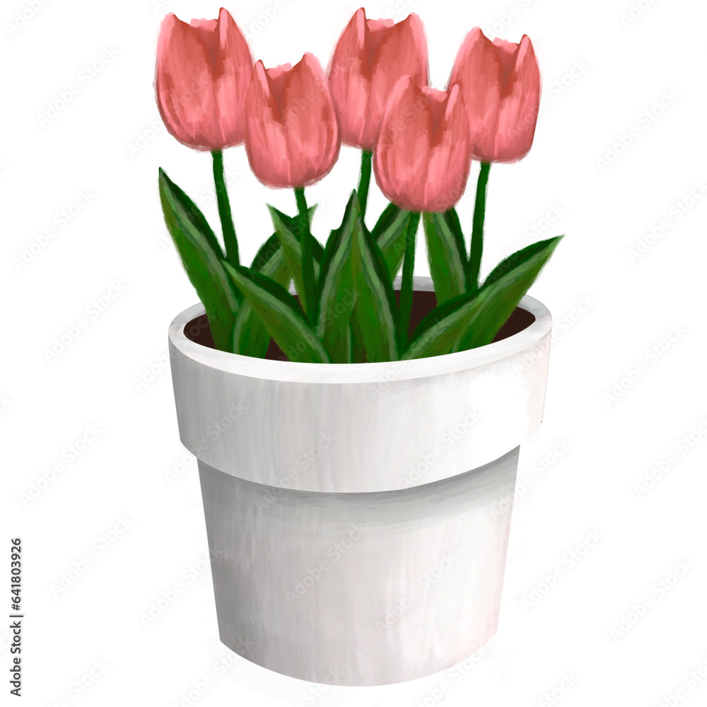 Tulips Tulips