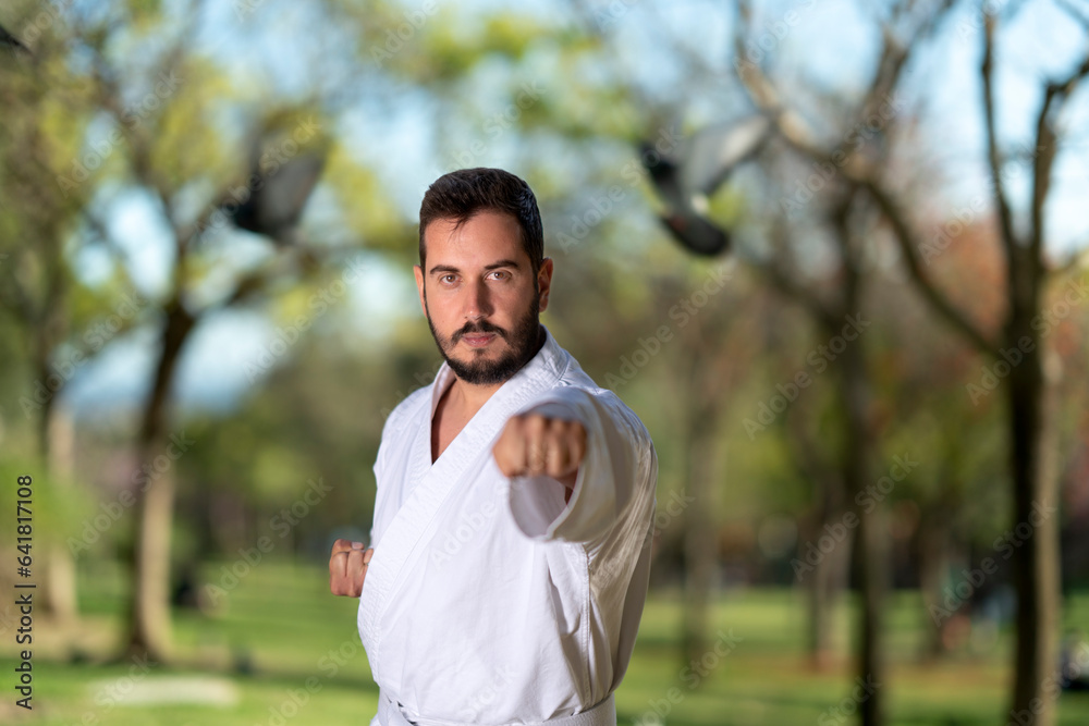 Flowing like the wind through the park, where karate meets tranquility Flowing like the wind through the park, where karate meets tranquility